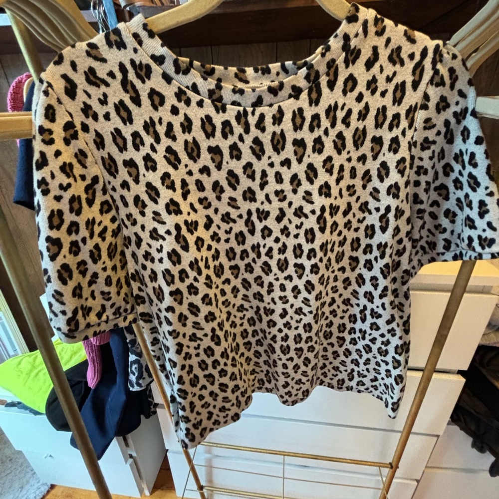 Loft Cheetah Sweater